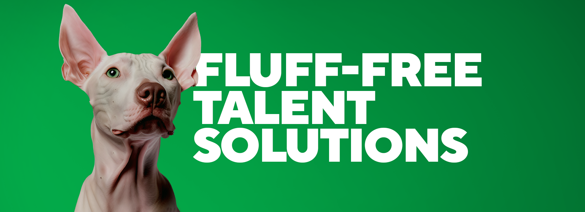 Fluff-free talent solutions. Fluff-free talent solutions.