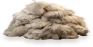 Sheered ram fluff