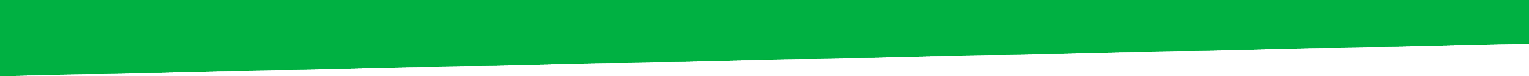 Banner green _NOPROCESS_
